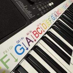 Keyboard Stickers - Full Colour